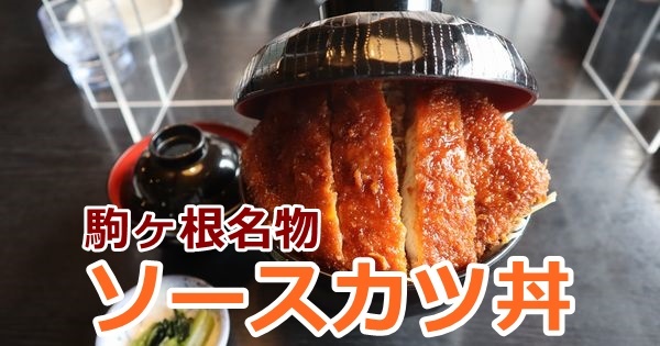 駒ヶ根ソースカツ丼