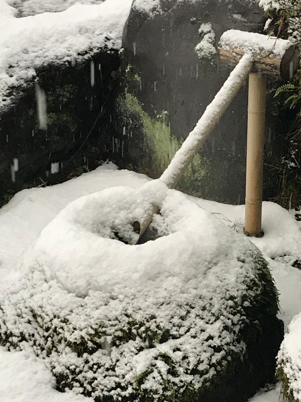 雪　2021年　石川　大雪