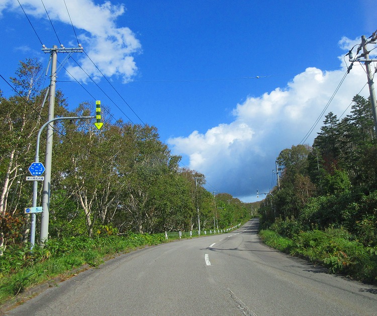 IMG_4953_20201225142541ae2.jpg