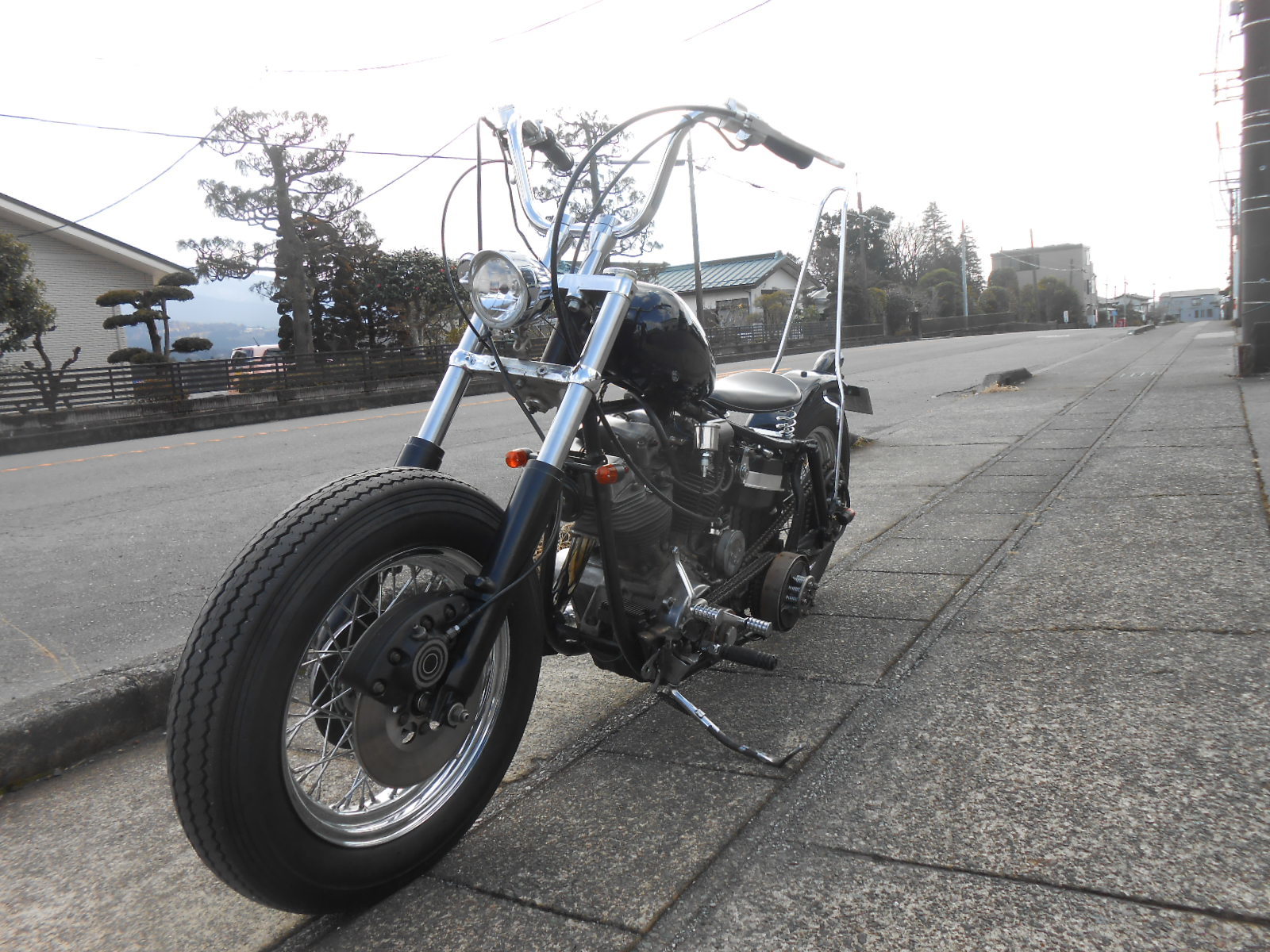 DSCN5615.jpg