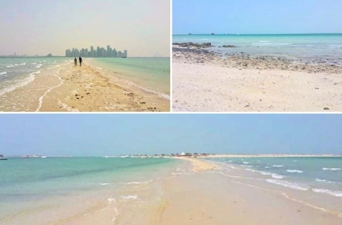 collage-al-safliya-island-qatar-by-albireo.jpg
