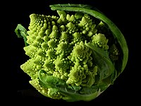 200px-Fractal_Broccoli.jpg