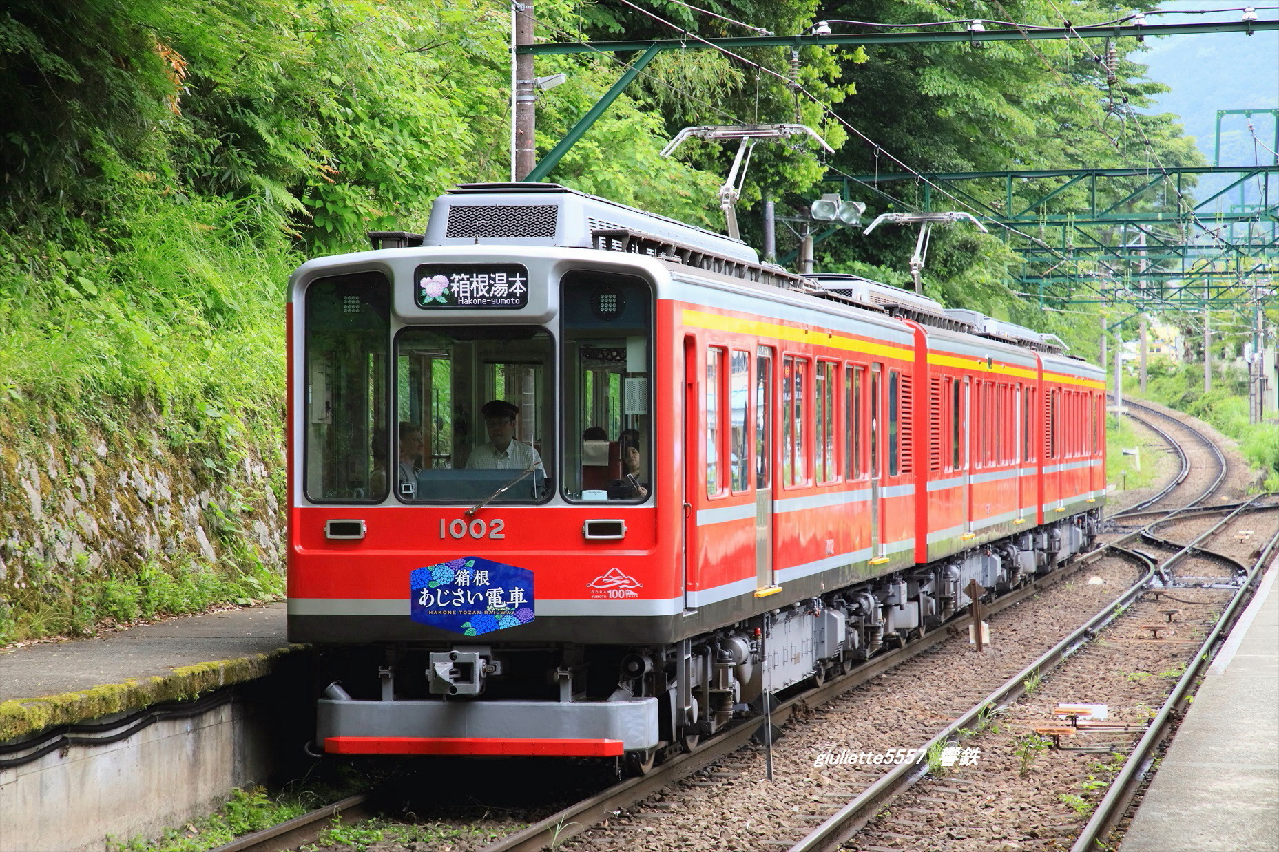 箱根登山鉄道1000形「ベルニナ号」 2019.06.05 | 響鉄Ⅱ