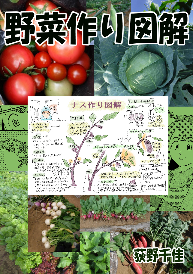 どこ博＿マンガと図解の野菜づくり (1)