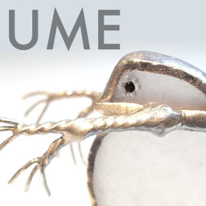 xmas2020_UME_logo.jpg