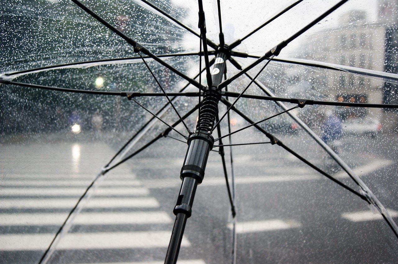 umbrella-4425160_1280.jpg
