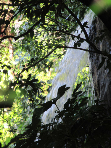 深大寺の滝