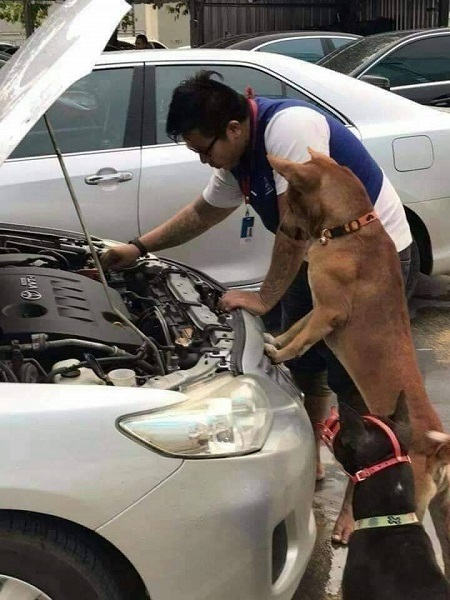 自動車修理
