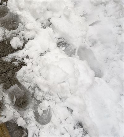 大雪20200329_R