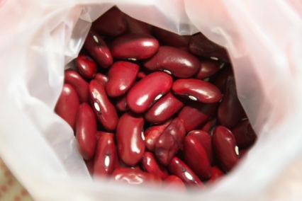 Kidney Bean（キドニー豆）の苗作りも・・・・