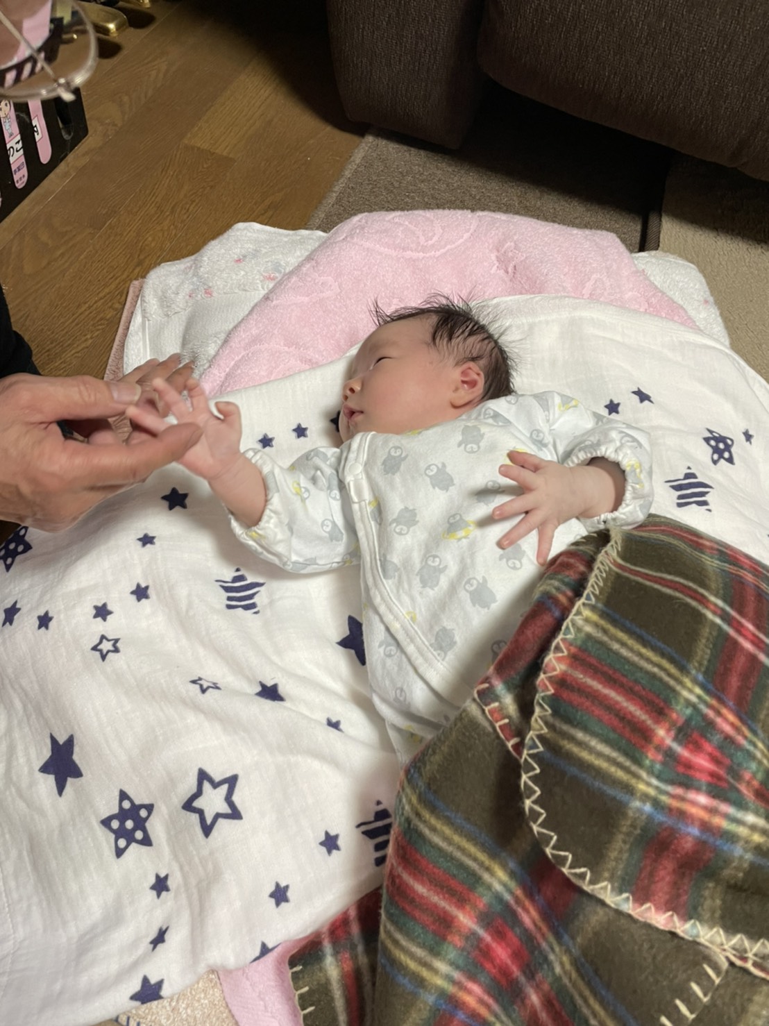 骨折あたふた日記 赤ちゃんのいる家
