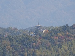 京都14