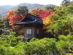京都16