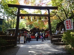 京都野宮社