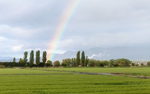 200623　虹と田園
