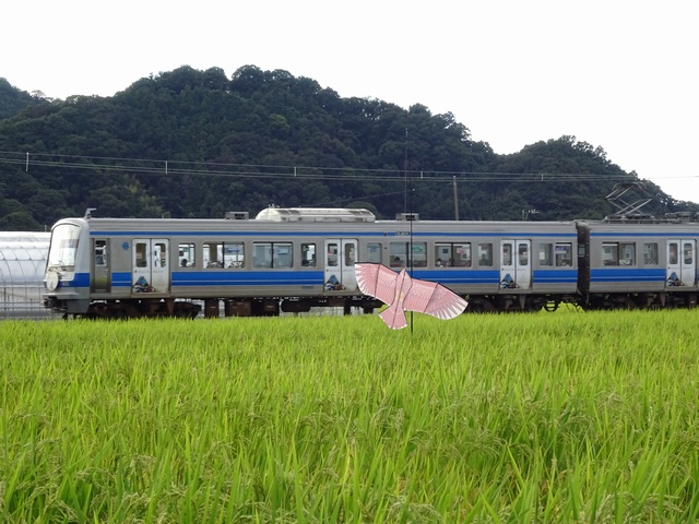 DSC08836-640.jpg