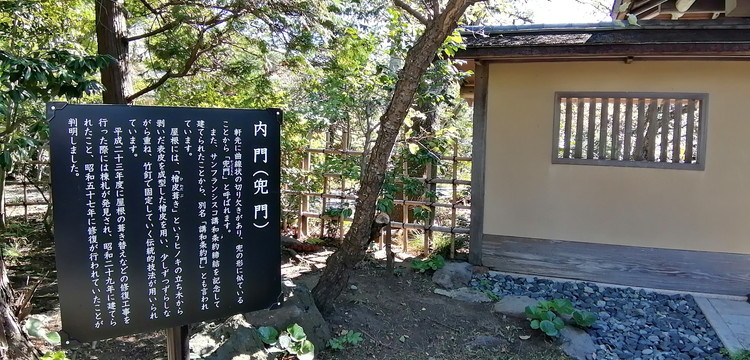 IMG_20201025_120511.jpg