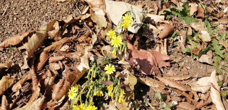IMG_20201116_102449.jpg