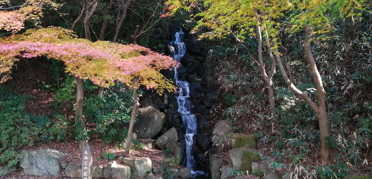 IMG_20201207_103244.jpg