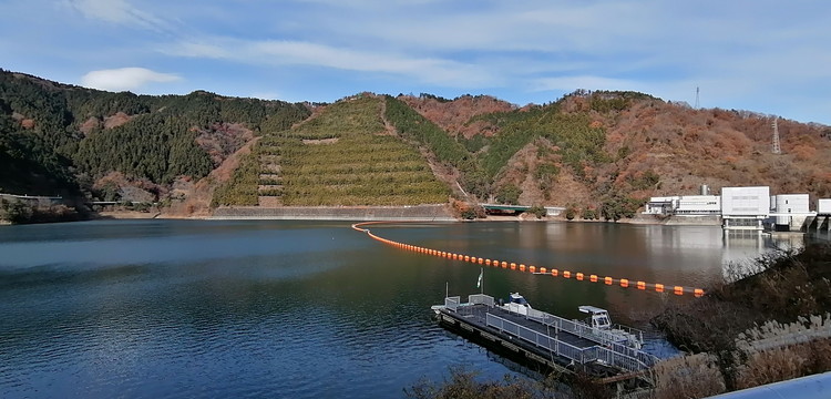 IMG_20201214_120450.jpg