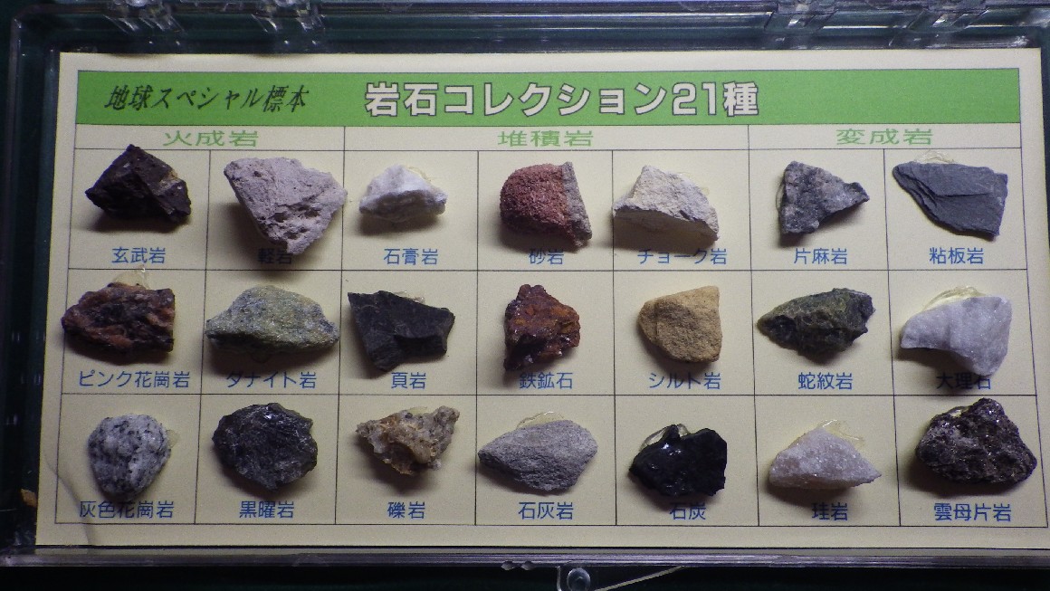 希望者のみラッピング無料 東京サイエンス 岩石標本 岩石標本火成岩6種 3-657-01