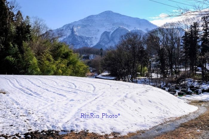2022年２月雪面越しの武甲山