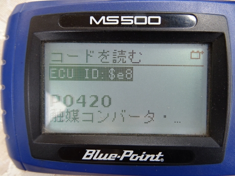DSC00123.jpg