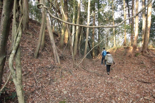⑬美作 鳥越山城跡@城跡行きてぇ:岡山県美作市