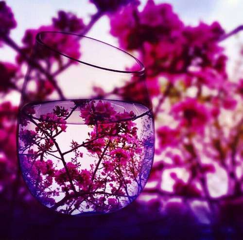 紫色のグラス