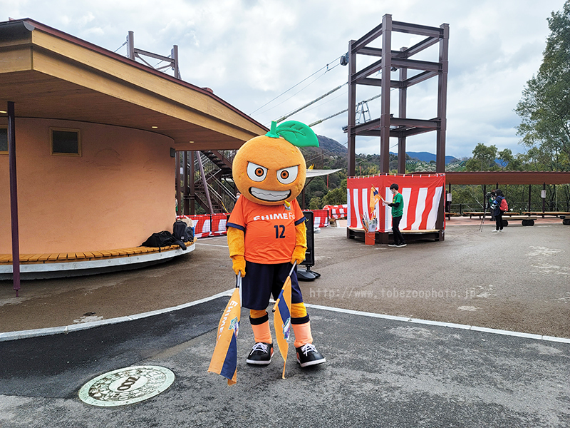 えひめこどもの城と、とべ動物園をつなぐ全長730m、四国最大級のスケールのジップラインがオープン、中村愛媛県知事が第一号として滑走しました。