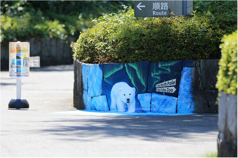 「シロクマ」　3Dアート動物園がオープン