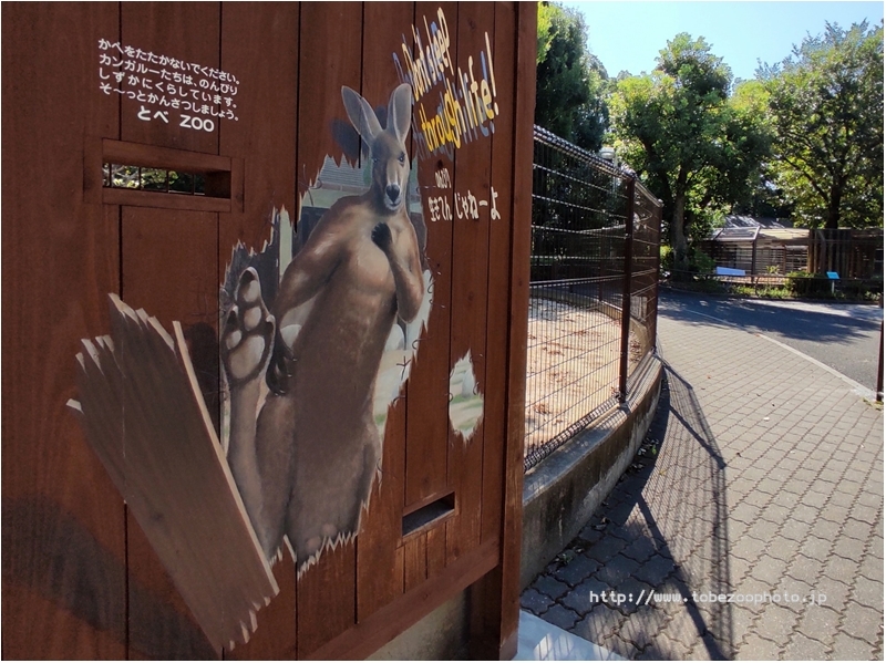 「カンガルー」　3Dアート動物園がオープン