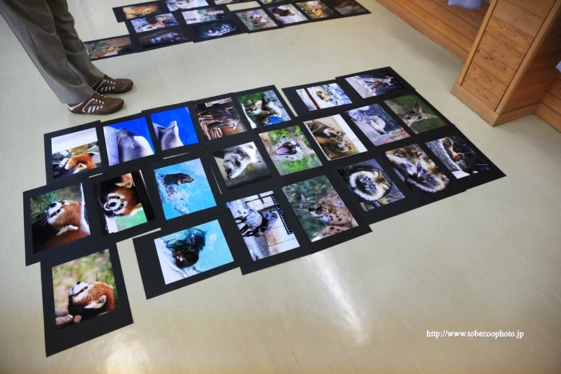 とべ動物園写真コンクールの審査、受賞作品21点が決定しました。