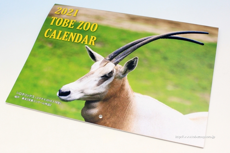 とべ動物園のオリジナル公式カレンダー　2021年度バージョン　（2020年11月発行・販売）