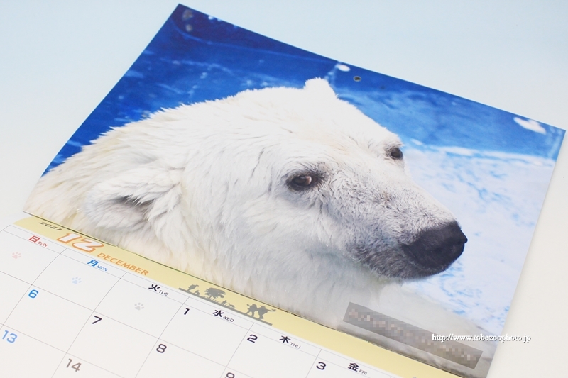 とべ動物園のオリジナル公式カレンダー　2021年度バージョン　（2020年11月発行・販売）