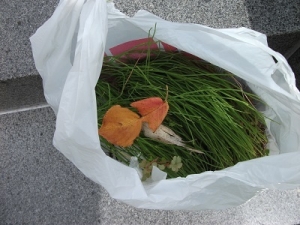 200808草袋